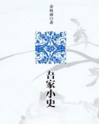 吾家小史封面