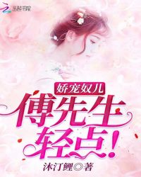 娇宠奴儿：傅先生，轻点！封面