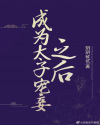 成为太子宠妾之后封面