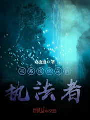 被系统绑架的执法者封面