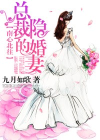 南心北往,总裁的隐婚妻封面