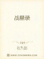 战星录封面
