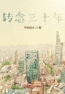 转念三十年封面