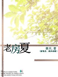 老房夏封面