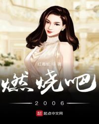 燃烧吧2006封面
