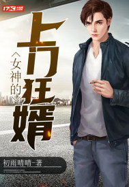 女神的上门狂婿封面