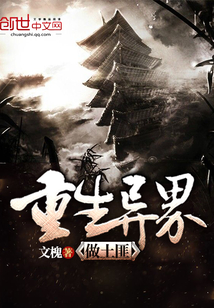 重生异界做土匪封面