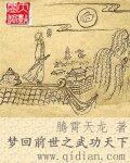 梦回前世之武功天下封面