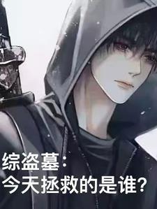 综盗墓：这次坑的是谁？封面