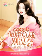 盛宠小娇妻：傲娇总裁别误会封面