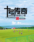 十号传奇封面