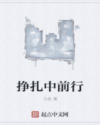 挣扎中前行封面