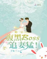 一胎二宝：腹黑Boss追妻猛！封面