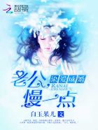 染爱成婚:老公,慢一点封面