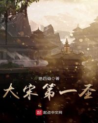 大宋第一圣封面