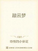 踏云梦封面