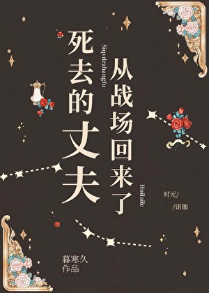 死去的丈夫从战场回来了封面