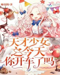 天才少女之今天你开车了吗封面