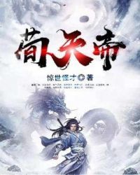 荀天帝封面