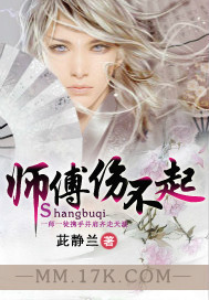 师傅伤不起封面