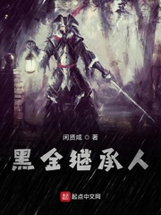 黑金继承人封面