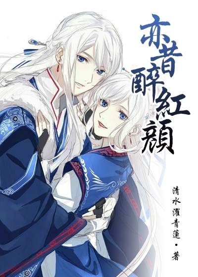 亦昔醉红颜封面