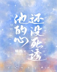 他的心还没死透封面