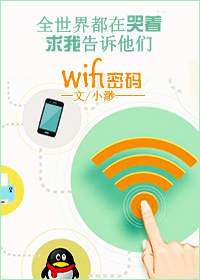 我有wifi有何贵干封面