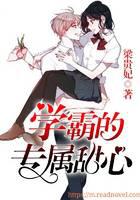 学霸的专属甜心封面