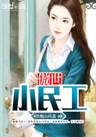 傲世小民工封面