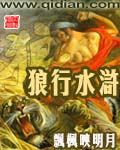 狼行水浒封面