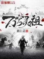 万穹灵祖封面