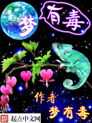 梦有毒封面