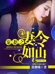 宠妻之妻令如山封面