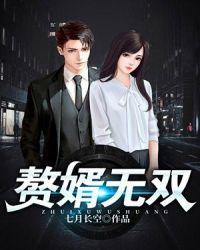 赘婿无双封面