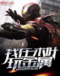 我在木叶玩金属封面