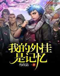 我的外挂是记忆封面