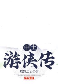 中土游侠传封面