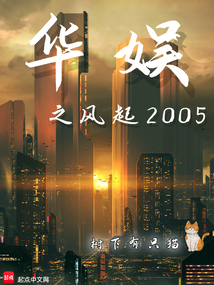 华娱之风起2005封面