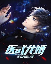 医武龙婿封面