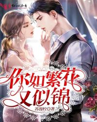 你如繁花又似锦封面