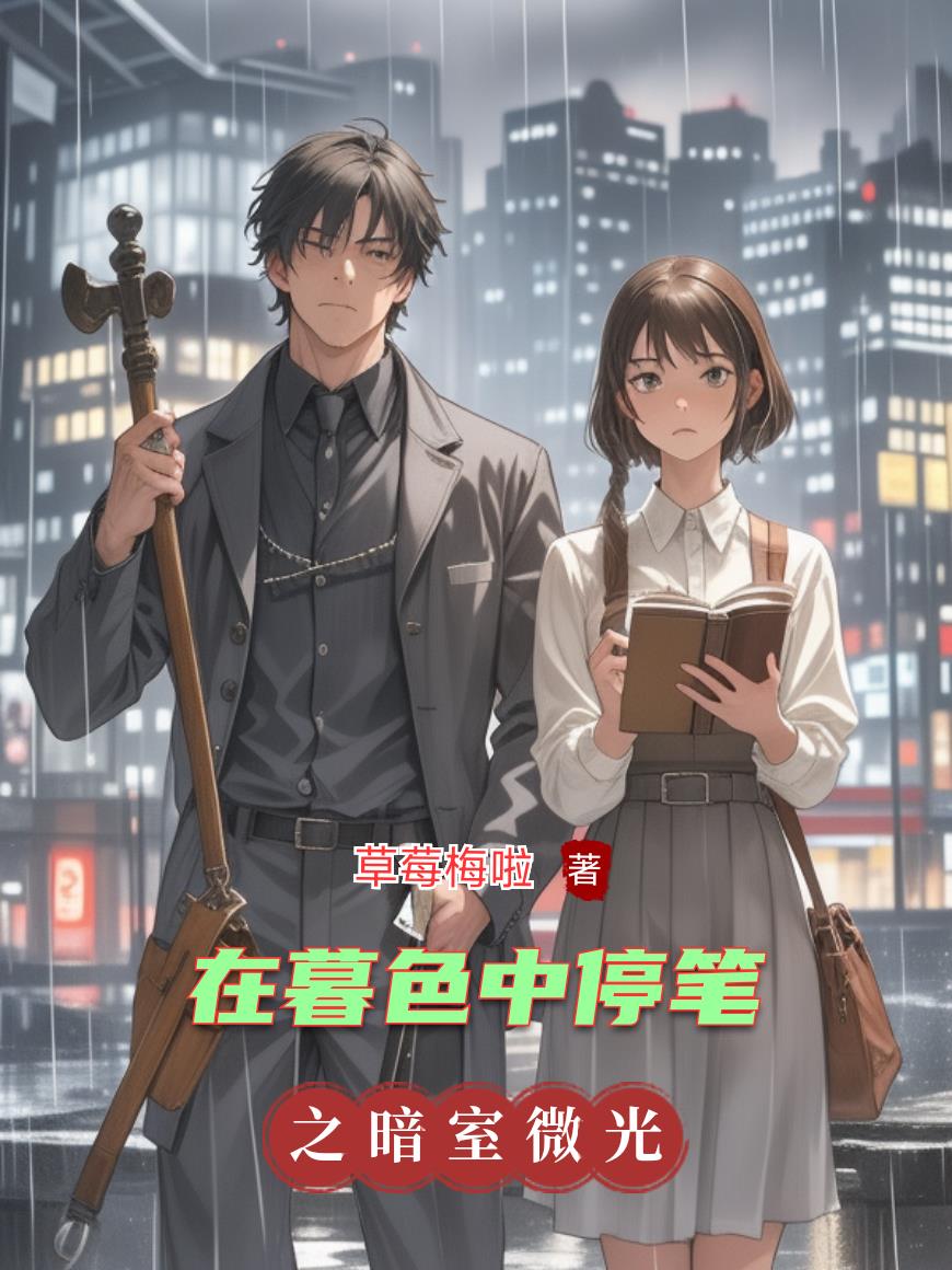 在暮色中停笔封面