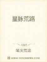 星脉荒路封面