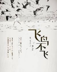 飞鸟不飞封面