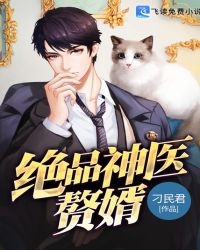 绝品神医赘婿封面