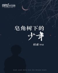 皂角树下的少年封面