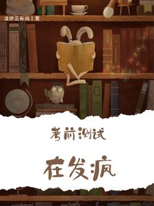 考前测试在发疯封面