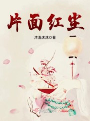 片面红尘封面