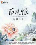 西风恨封面