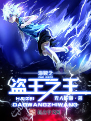 海贼之盗王之王封面